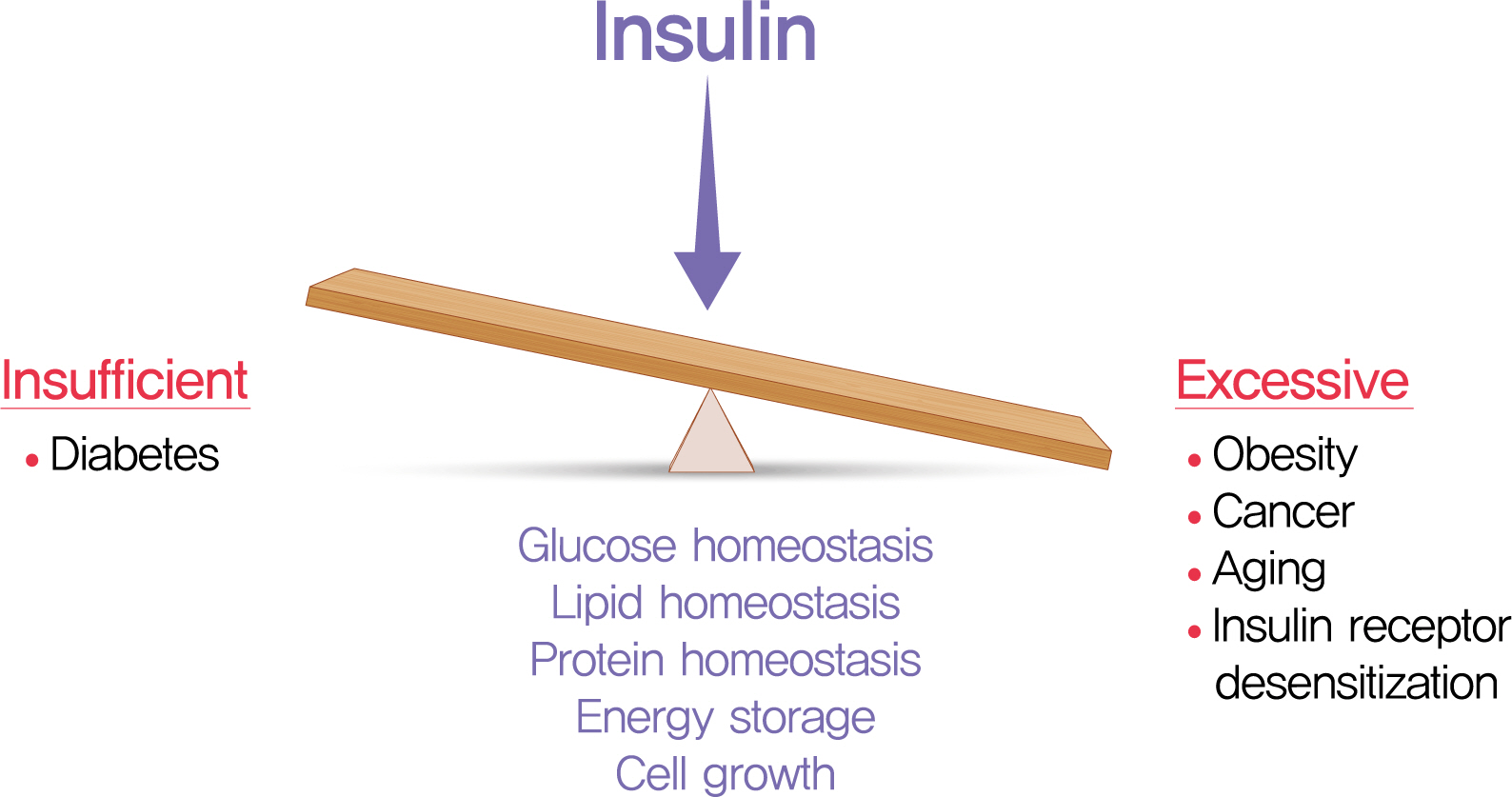 Hyperinsulinemia in Obesity, Inflammation, and Cancer